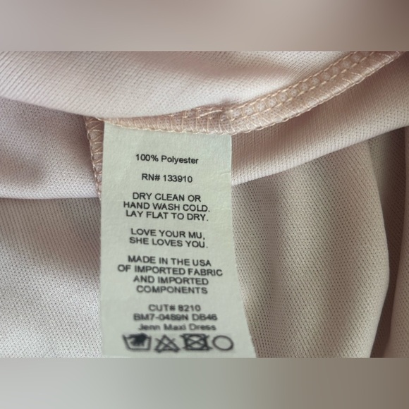 NWT Show Me Your Mumu Jenn Maxi Dress in Blush PInk V Neck Chiffon Size Small - Picture 6 of 7